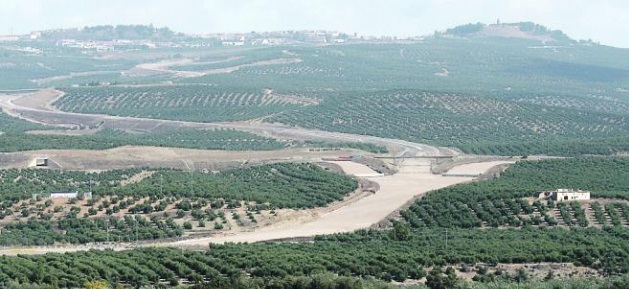 aceite de oliva virgen extra4